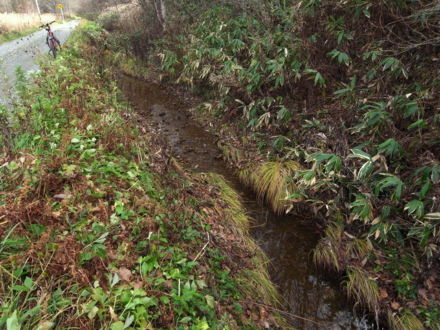 b0130166_2313188.jpg