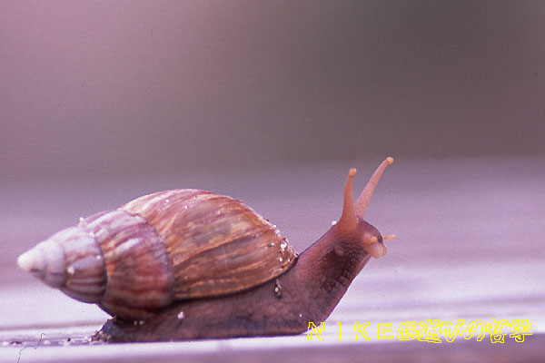e0000968_23542950.jpg