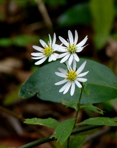d0084473_20325231.jpg