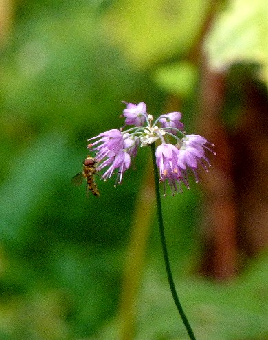 d0084473_2033872.jpg