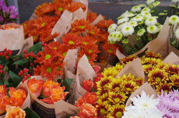 f0054677_9152166.jpg