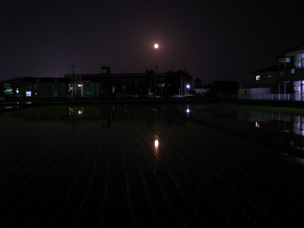 R0014625.jpg