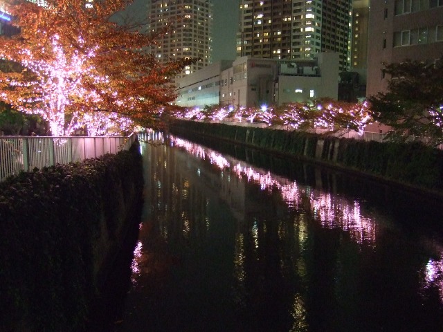 e0188480_21264784.jpg