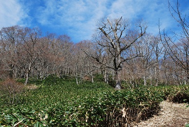 a0133886_20421275.jpg