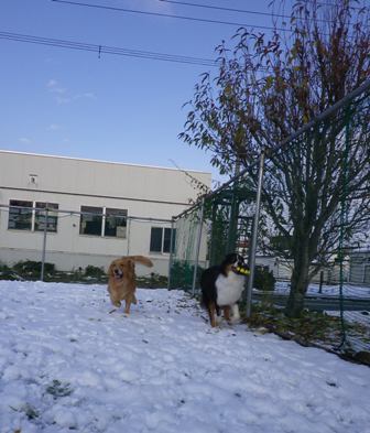 f0077697_19282483.jpg