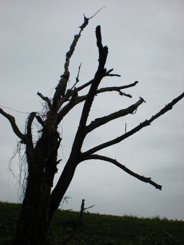 f0137098_23591726.jpg
