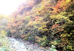 e0122199_2310493.jpg