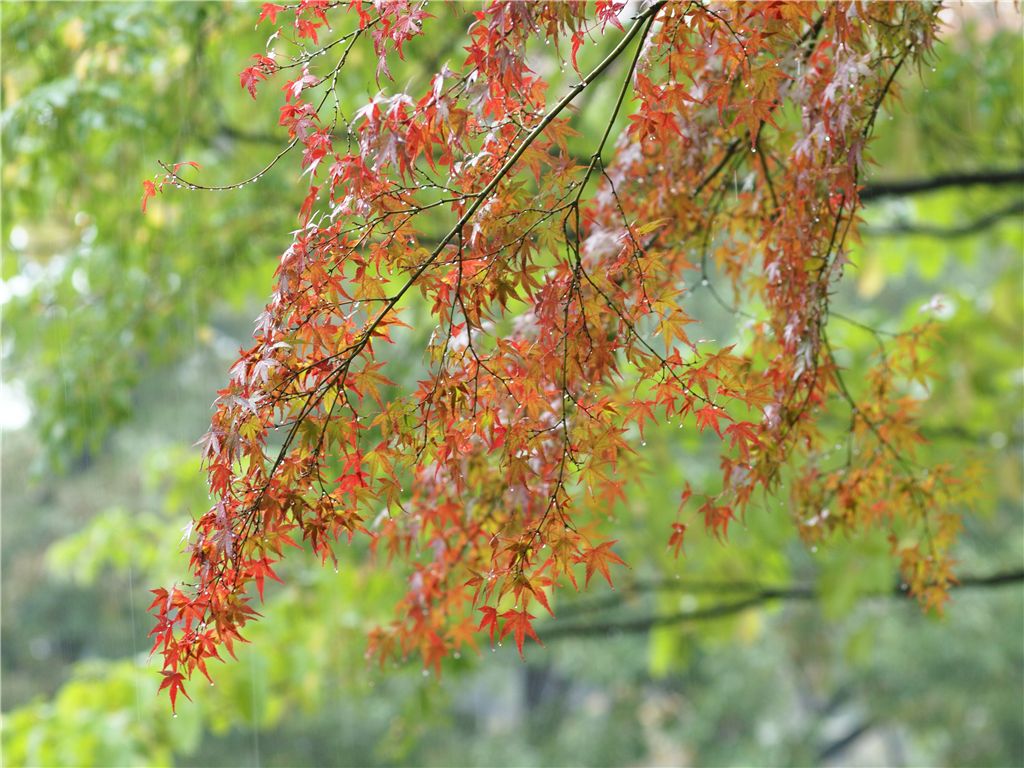 f0224100_2142732.jpg