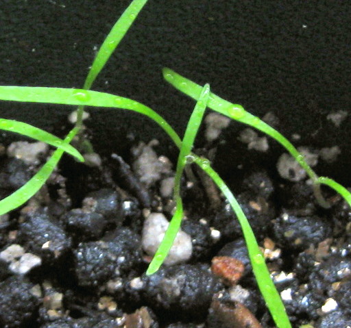 f0236201_15142964.jpg