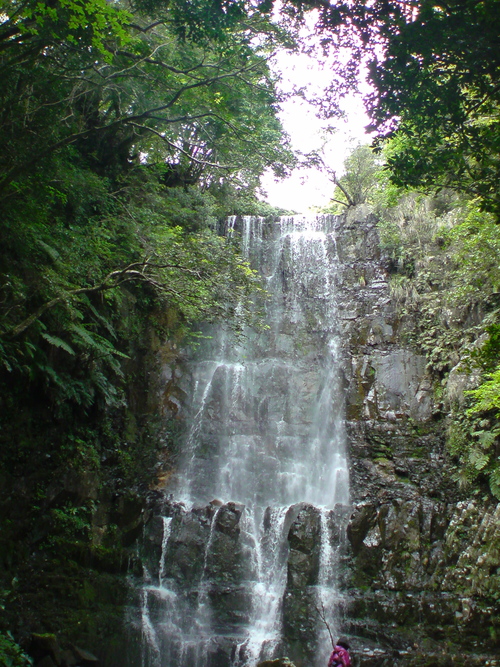 d0100504_23373566.jpg