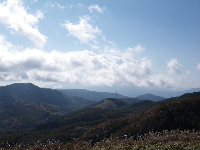 a0116205_14462068.jpg
