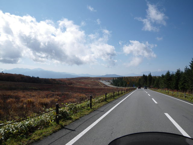 a0116205_14463295.jpg