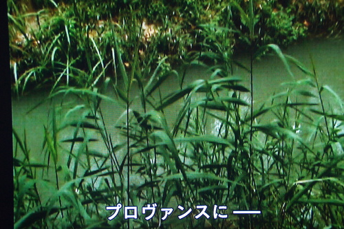 b0194405_10115542.jpg