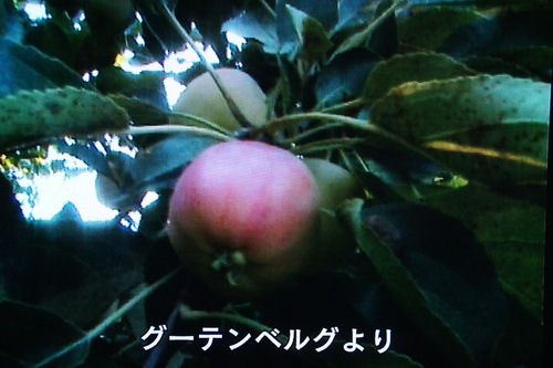 b0194405_10143355.jpg