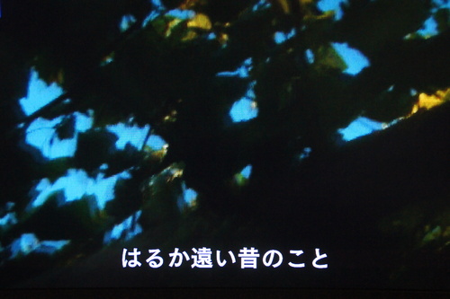 b0194405_10155361.jpg