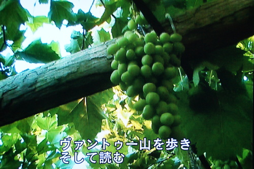 b0194405_10161435.jpg