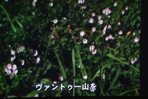 b0194405_1020116.jpg