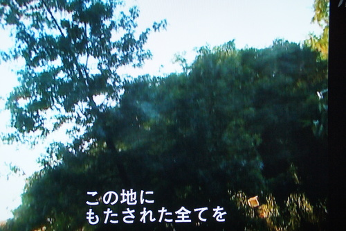 b0194405_10221540.jpg