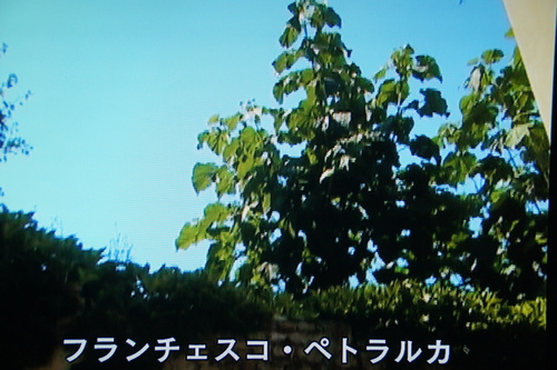 b0194405_1095933.jpg