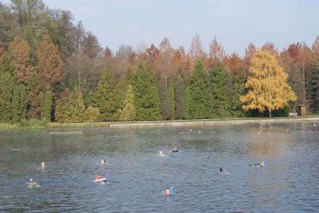 f0144707_2225560.jpg