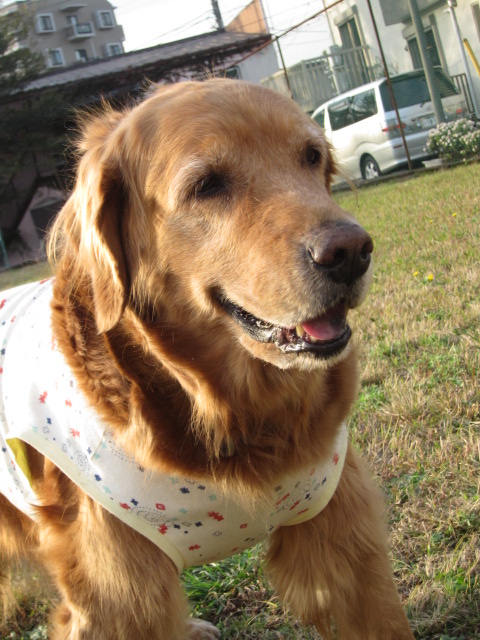 d0150309_18322446.jpg
