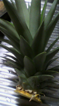 d0237309_2243413.jpg