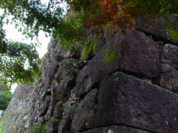 e0083517_021456.jpg