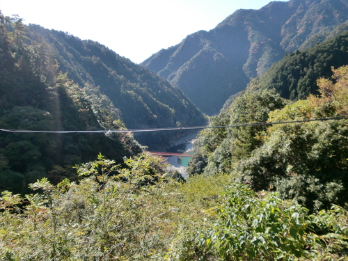 a0176523_16261060.jpg