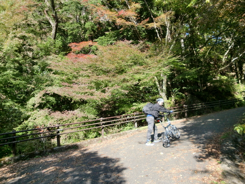 a0176523_1656212.jpg
