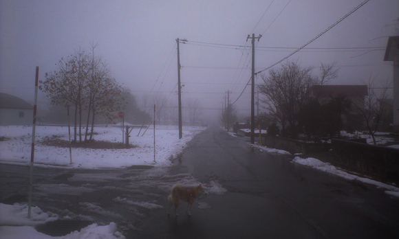 e0227023_1126972.jpg