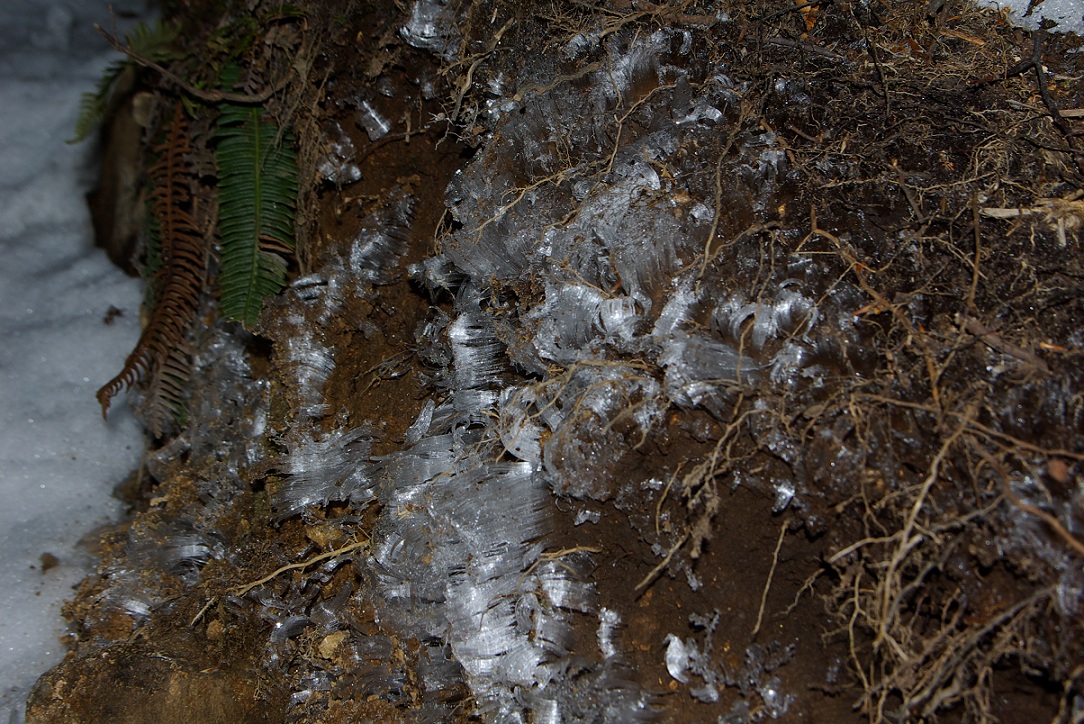 b0062024_225211.jpg