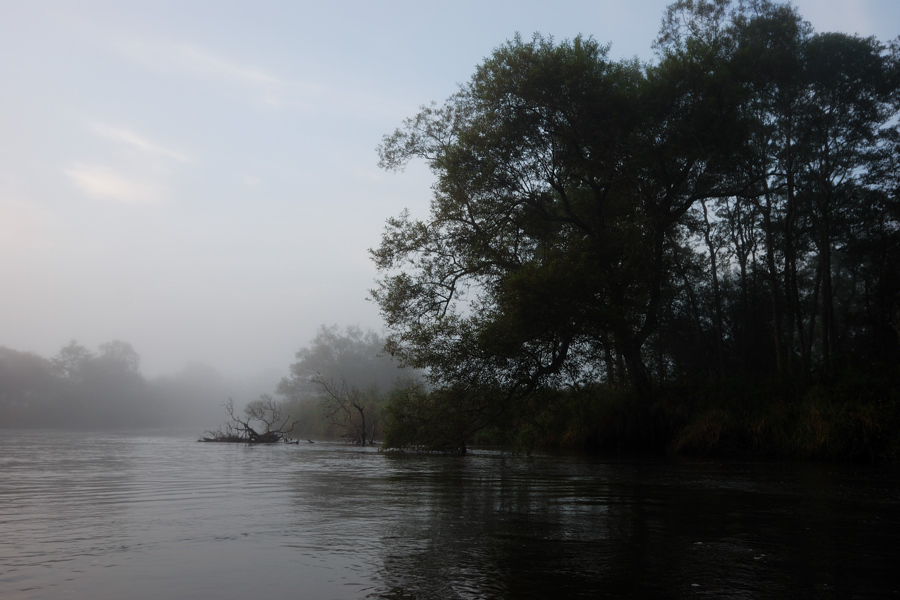 b0146024_2050591.jpg
