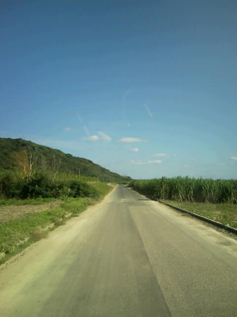 f0197325_8334776.jpg