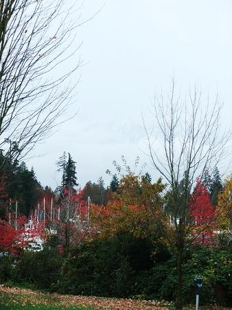 f0111926_16494929.jpg