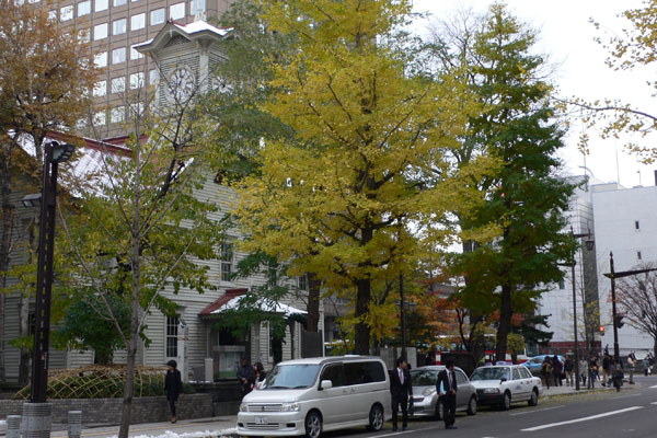 a0046429_1144346.jpg