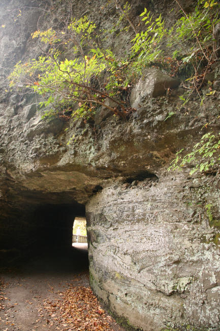 f0017530_2122132.jpg