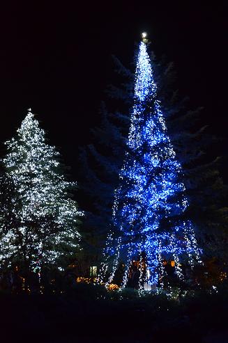 f0124830_18561490.jpg