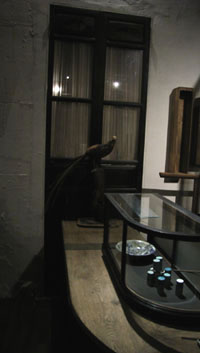 a0239336_12211341.jpg