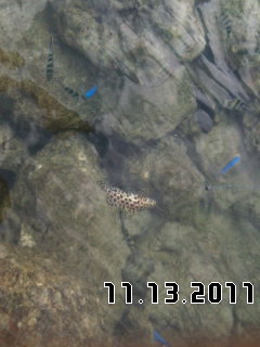 b0188941_22371230.jpg