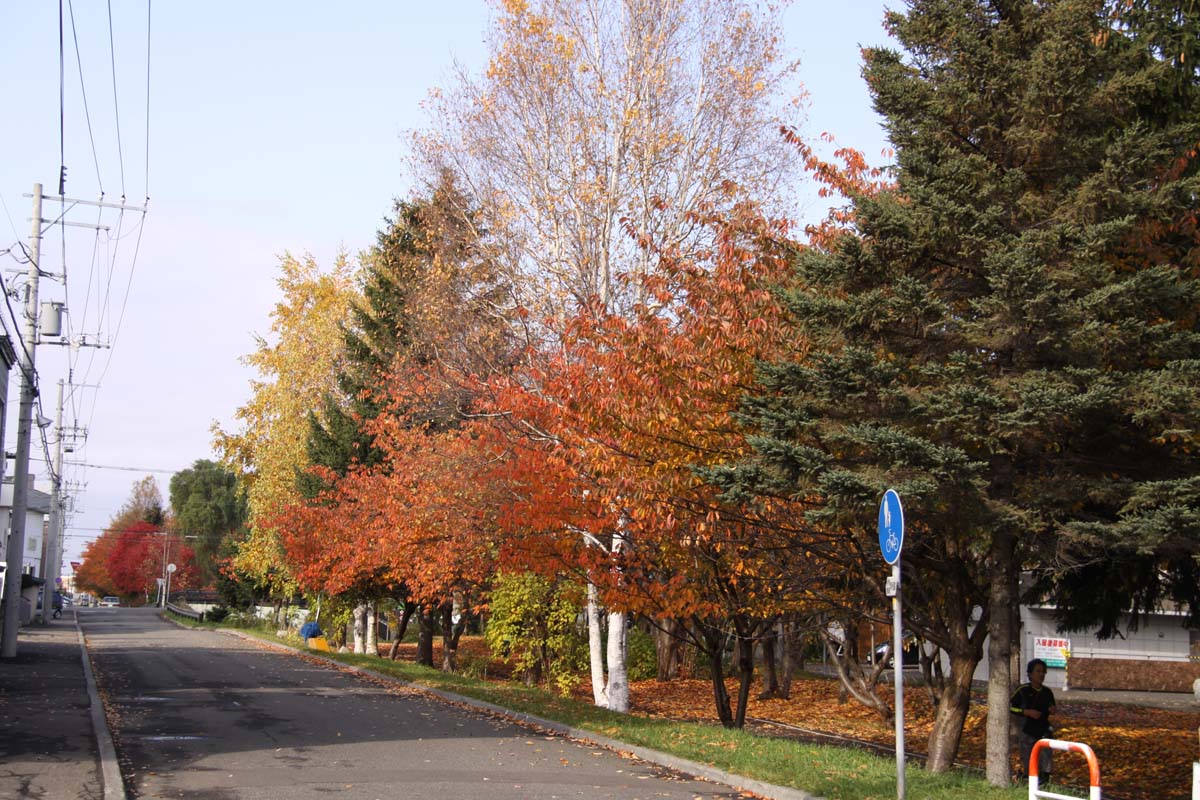 a0082347_19365816.jpg