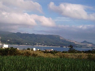 a0053272_21505711.jpg