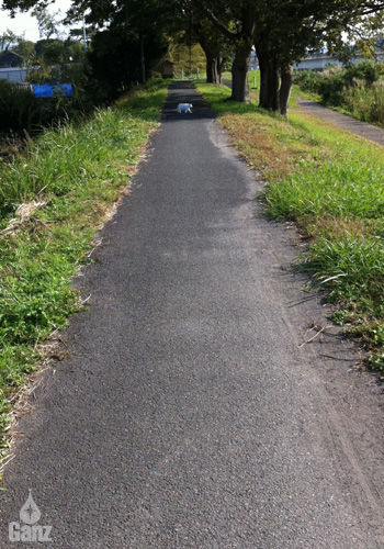 c0126876_153387.jpg