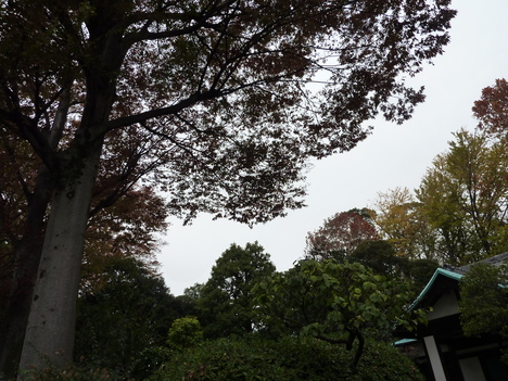 e0207477_850527.jpg