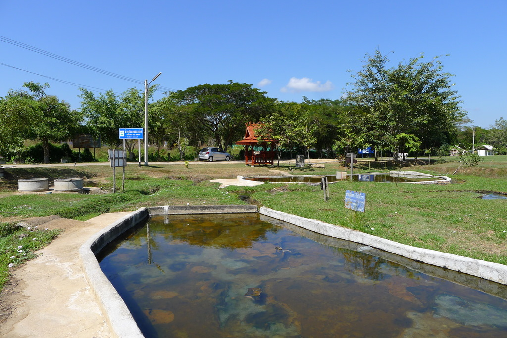 f0178278_9365269.jpg