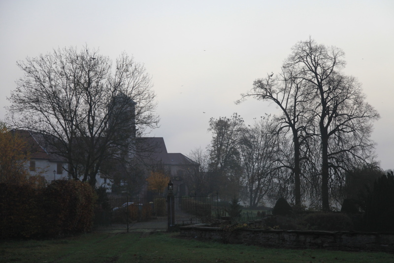 c0187779_8125784.jpg