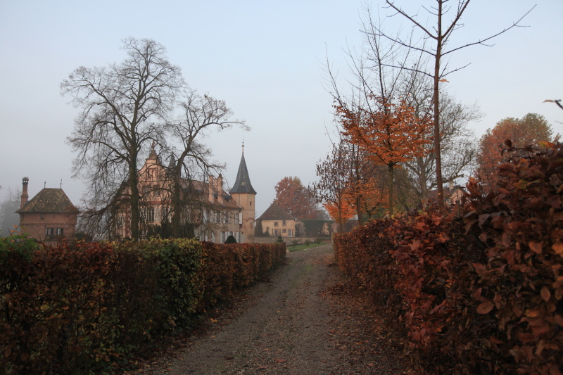 c0187779_8134443.jpg
