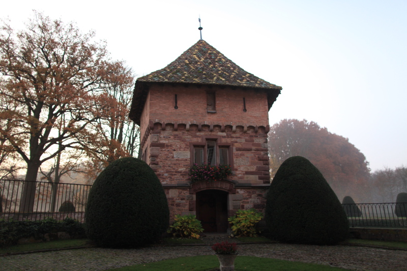 c0187779_873788.jpg