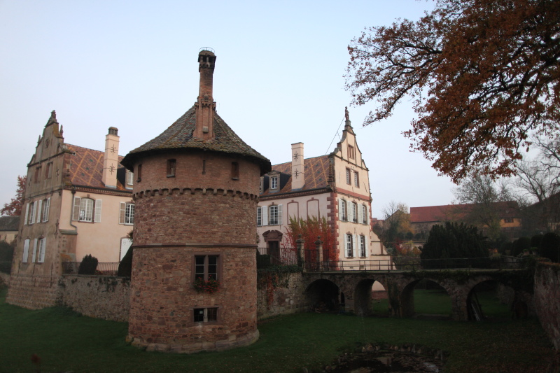 c0187779_891150.jpg