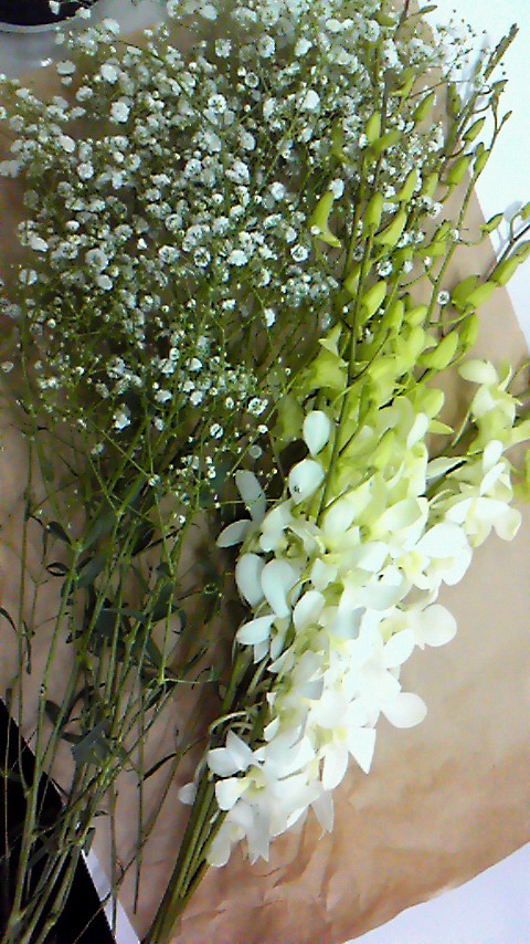 f0238081_14362372.jpg