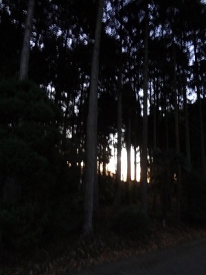 e0137390_2094132.jpg